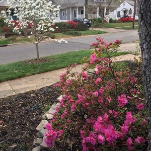 Meet your Posher, AC